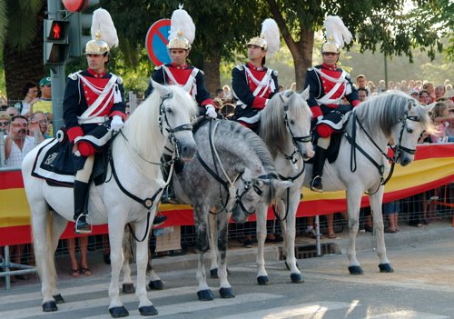 [BF+Guardia+mun.jpg]