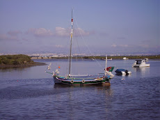 Moita do Ribatejo, Rio Tejo