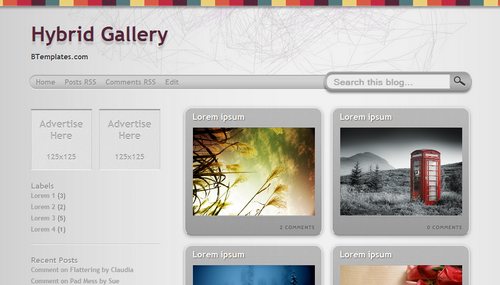 [hybrid-gallery.jpg]