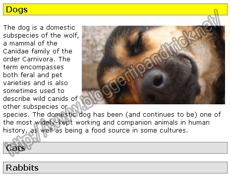 [Dynamic+Drive+Accordion.PNG]