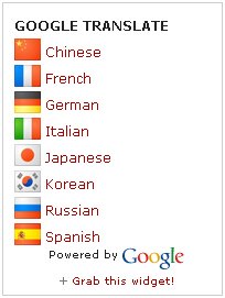 [google-translate-mini-flags1.jpg]