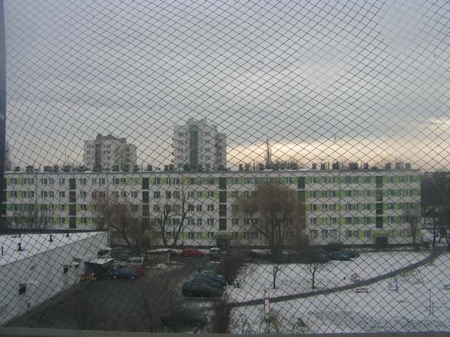 [PICT0160.JPG]