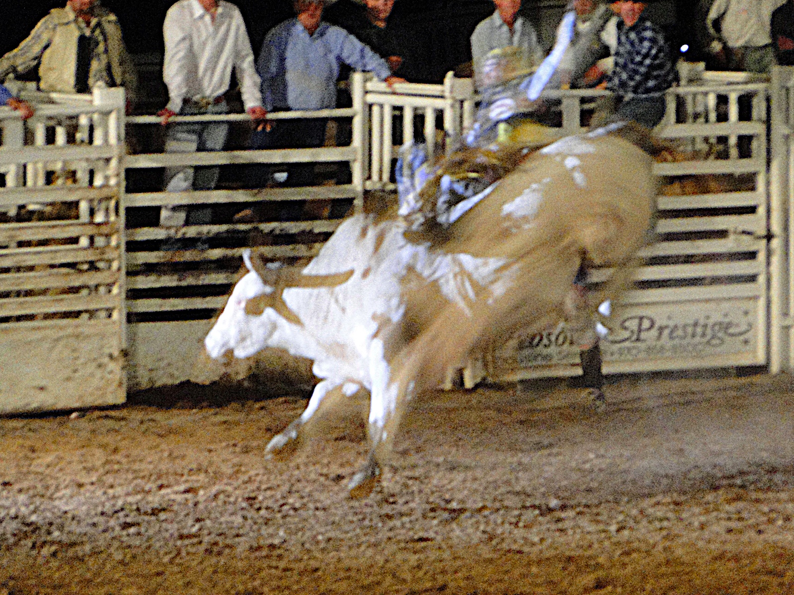 Here's to all about Fruita.: Photos, Rodeo August 24, Barrels,Broncs ...