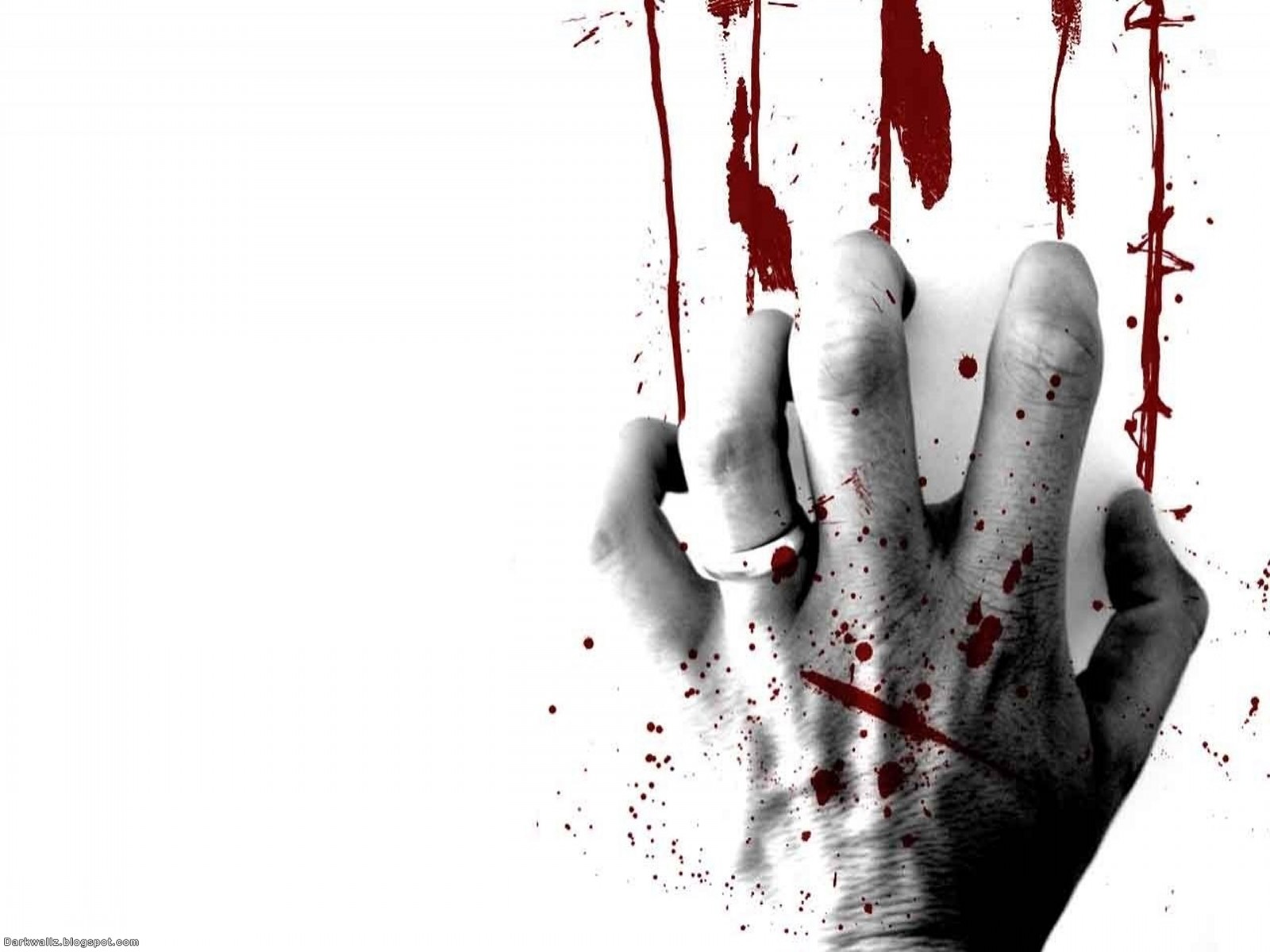 kane blog picz: True Blood Wallpaper Deviantart