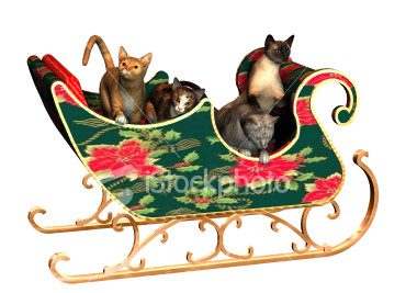 [ist2_911599_christmas_cats_includes_clipping_path.jpg]