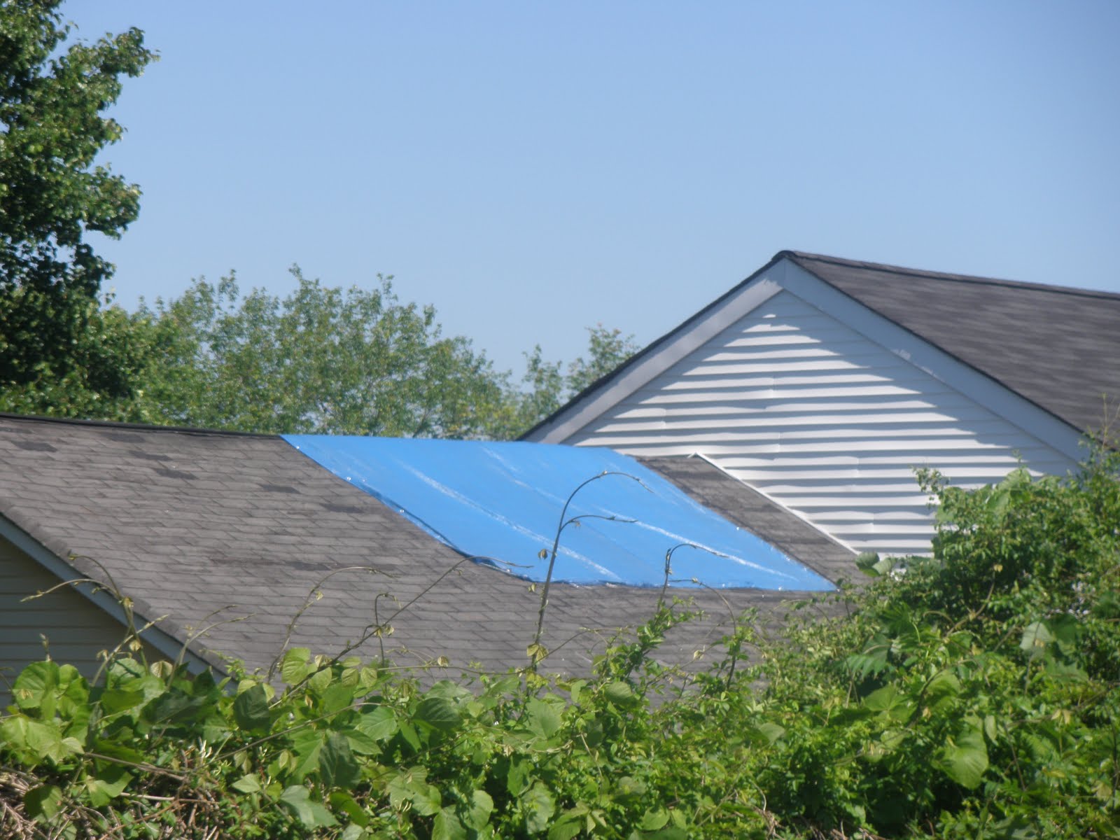 Babcock Roofing Pros Can Help Got the Blue Tarp Blues?