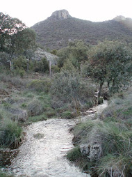 Arroyos en Hoyo