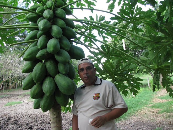 Una Tierra Productiva