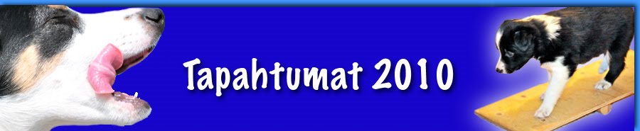 Decathlete's tapahtumat 2010