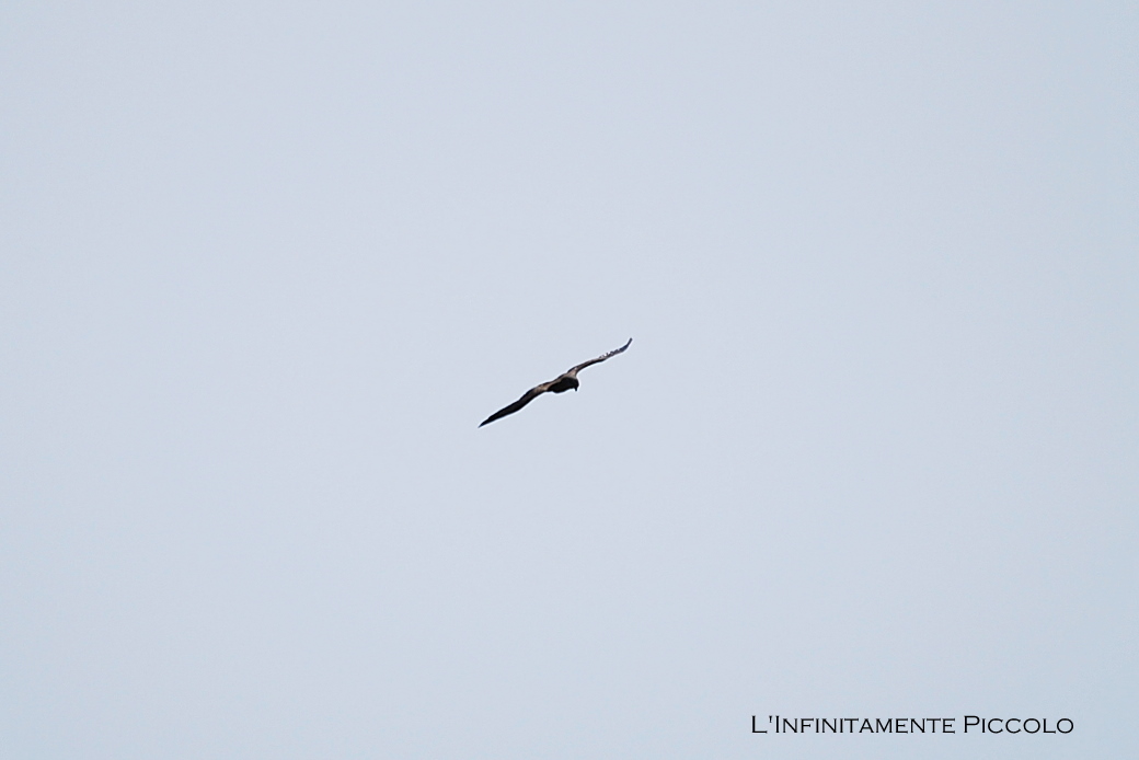 [DSC_0081+-+Copia.JPG]