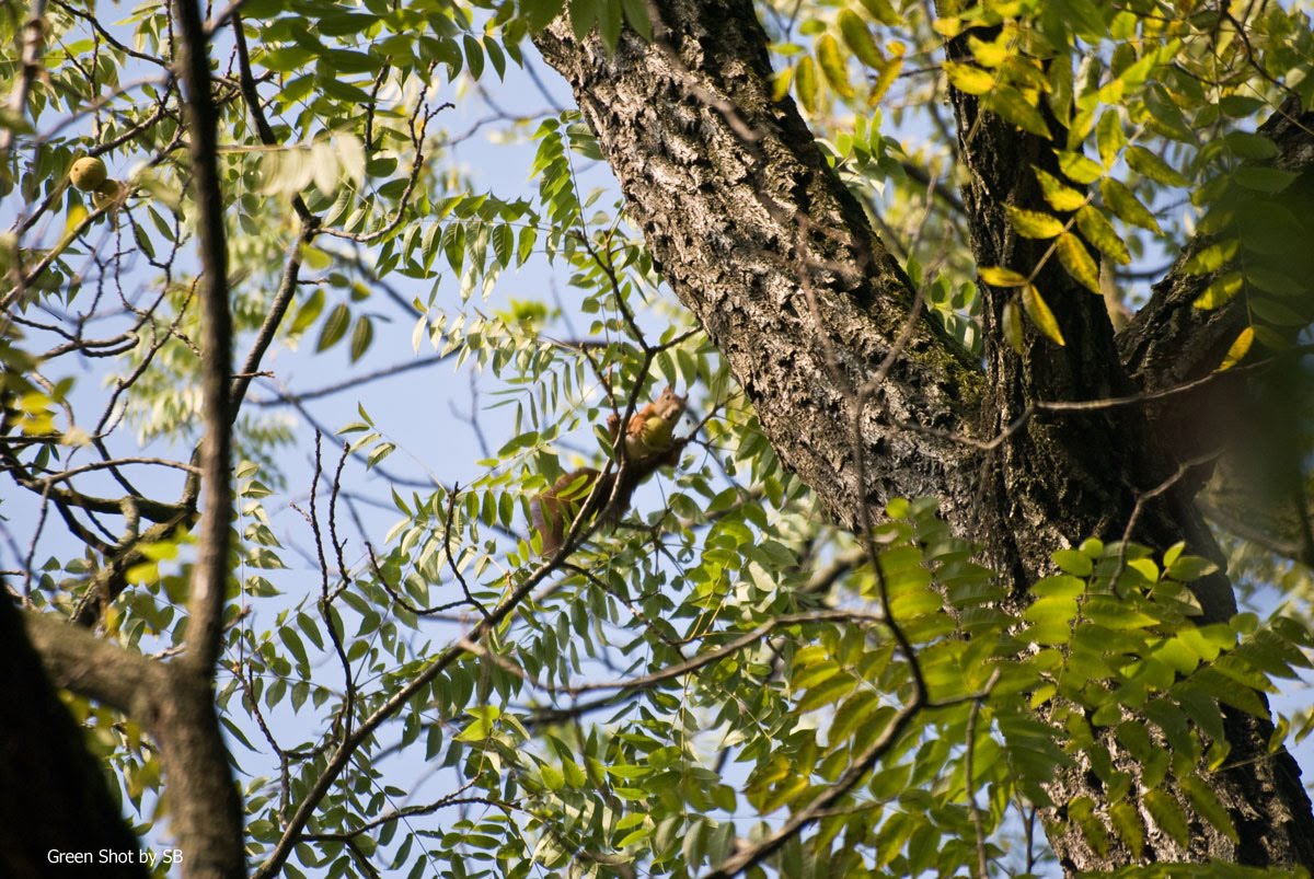 [Parco-di-Monza-10042009_117.jpg]