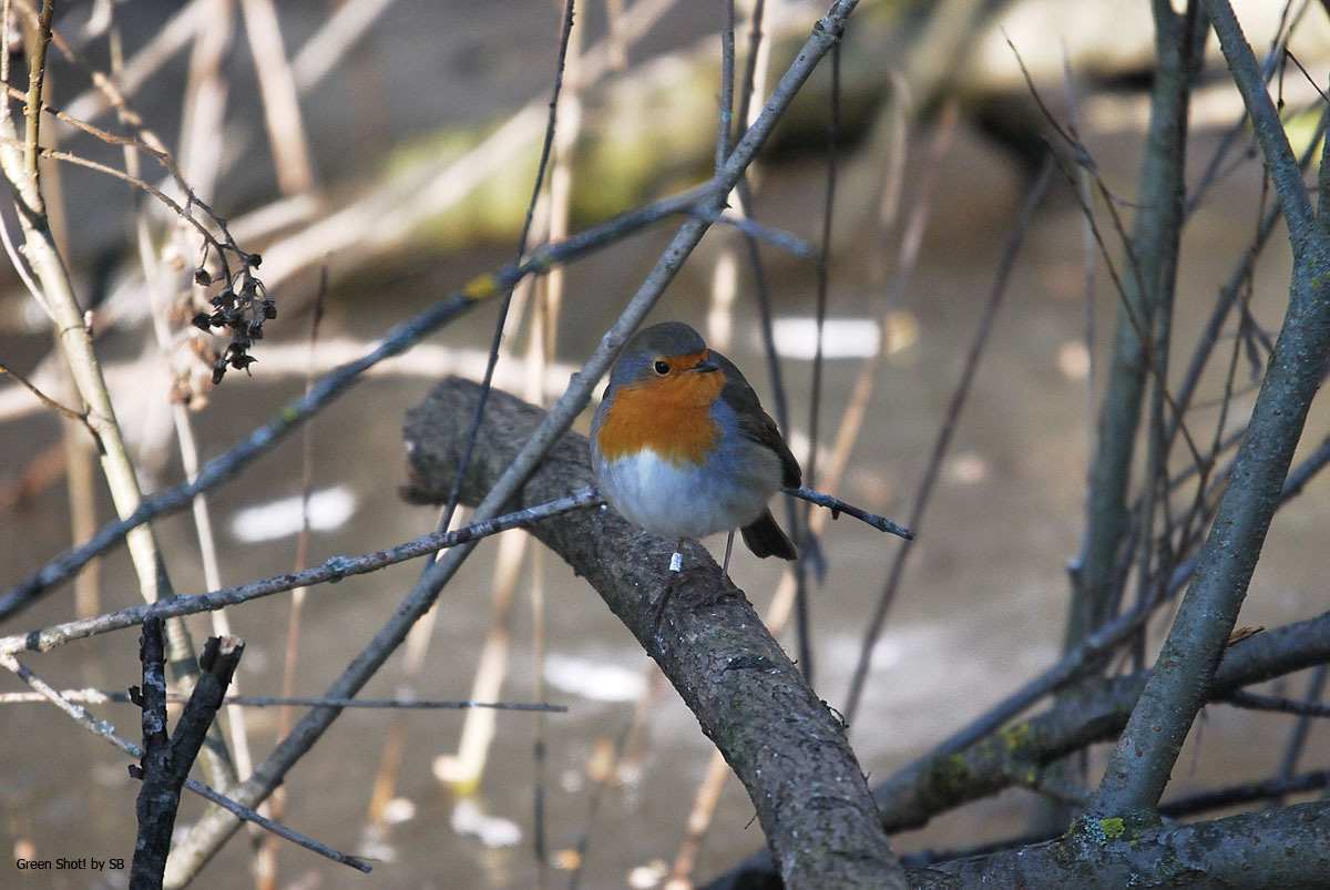 [Le-Foppe_038_291209.jpg]