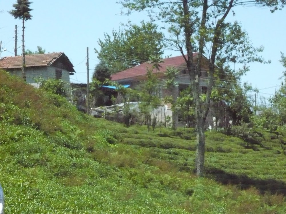 KÖŞE BUCAK AZAKLIHOCA KÖYÜ BLOG SİTESİ ! Azaklıhoca Köyü köy evleri!