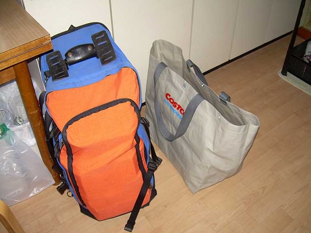 [backpack-shopping-bag.jpg]