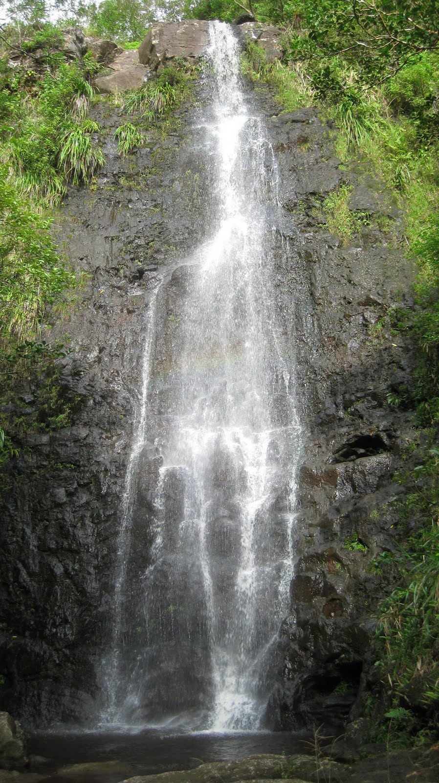 Where is Dave Wu Waiomao Stream Trail / Waimao Falls Trail