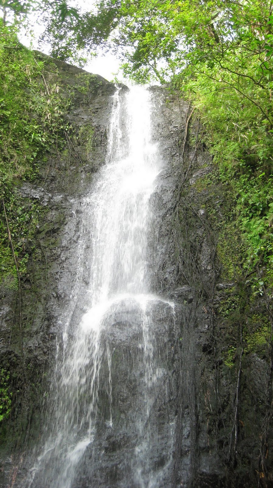 Where is Dave Wu Waiomao Stream Trail / Waimao Falls Trail
