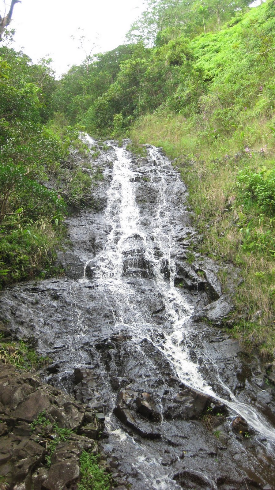 Where is Dave Wu Waiomao Stream Trail / Waimao Falls Trail
