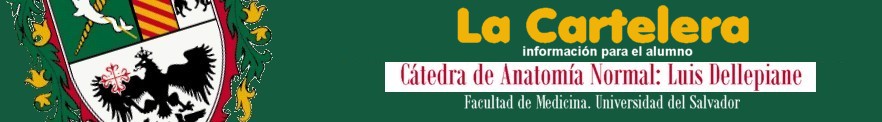Catedra de Anatomia Normal