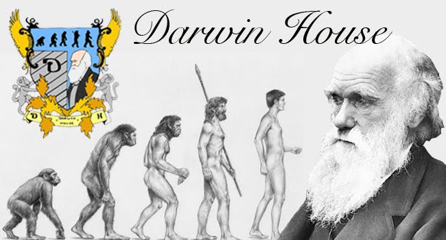 Darwin House Blog