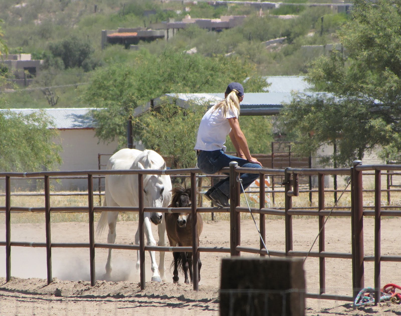 Sense of Misplaced Brandi Fenton Memorial Park