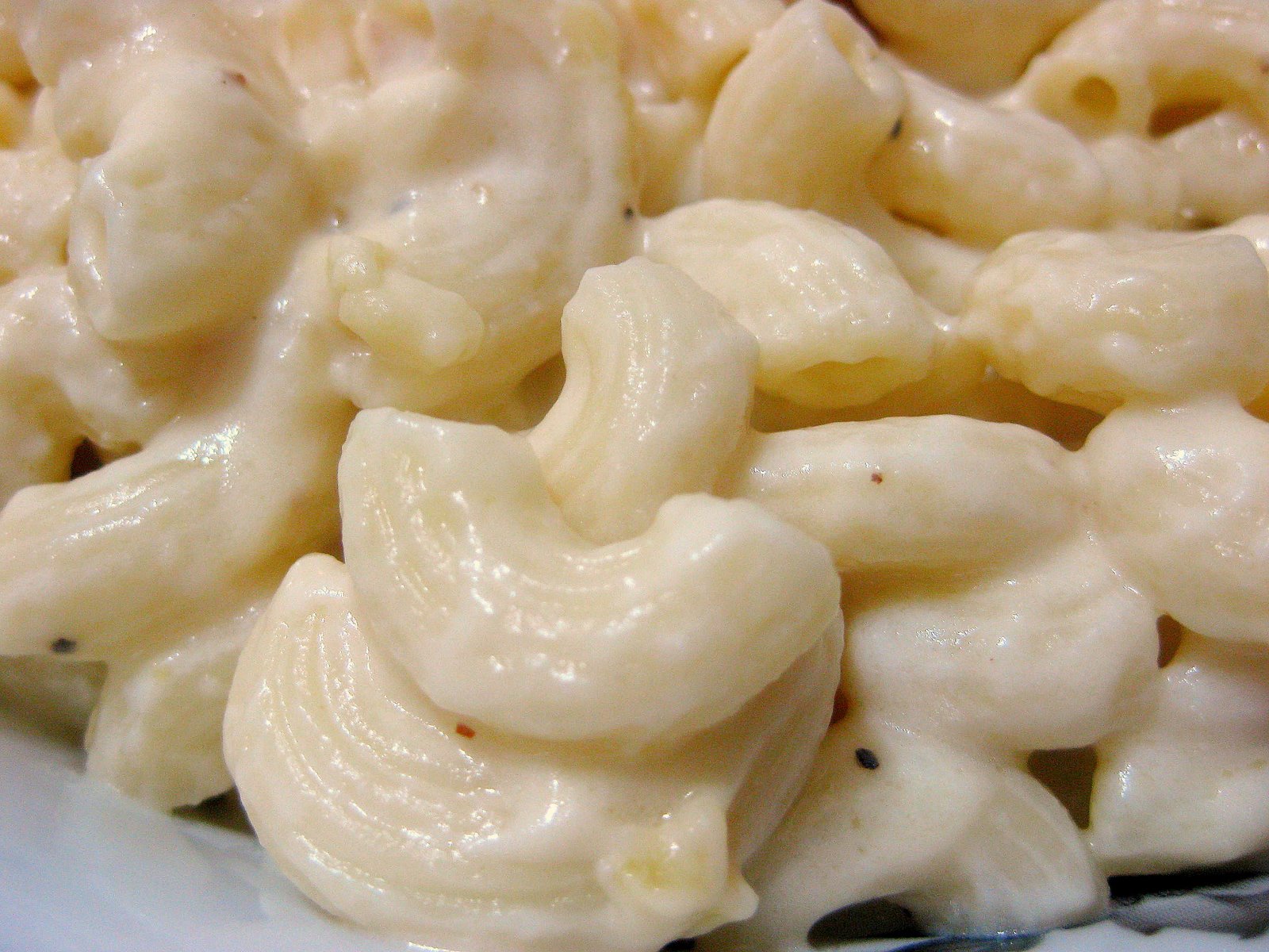 RESEPI NANNIE: Macaroni dan keju