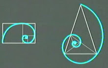 Espiral áurea (11,11') , 5(3,3')