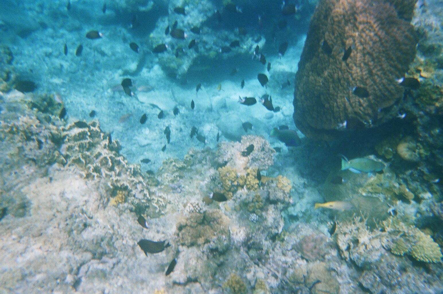 Insight Tokashiki Island