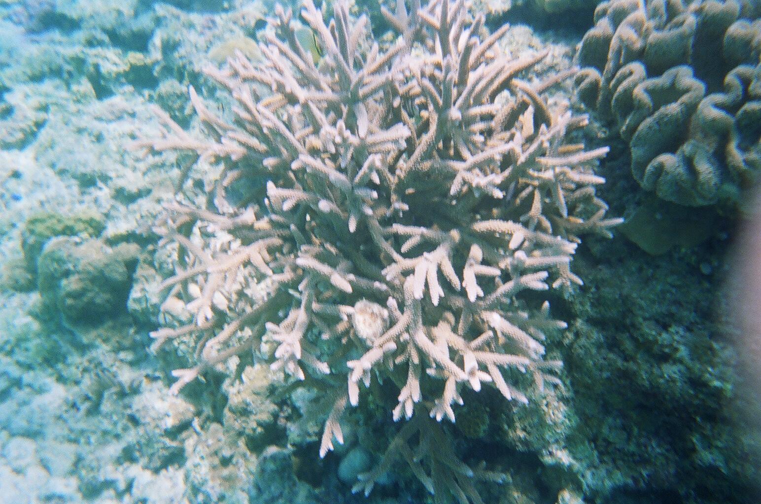 Insight Tokashiki Island