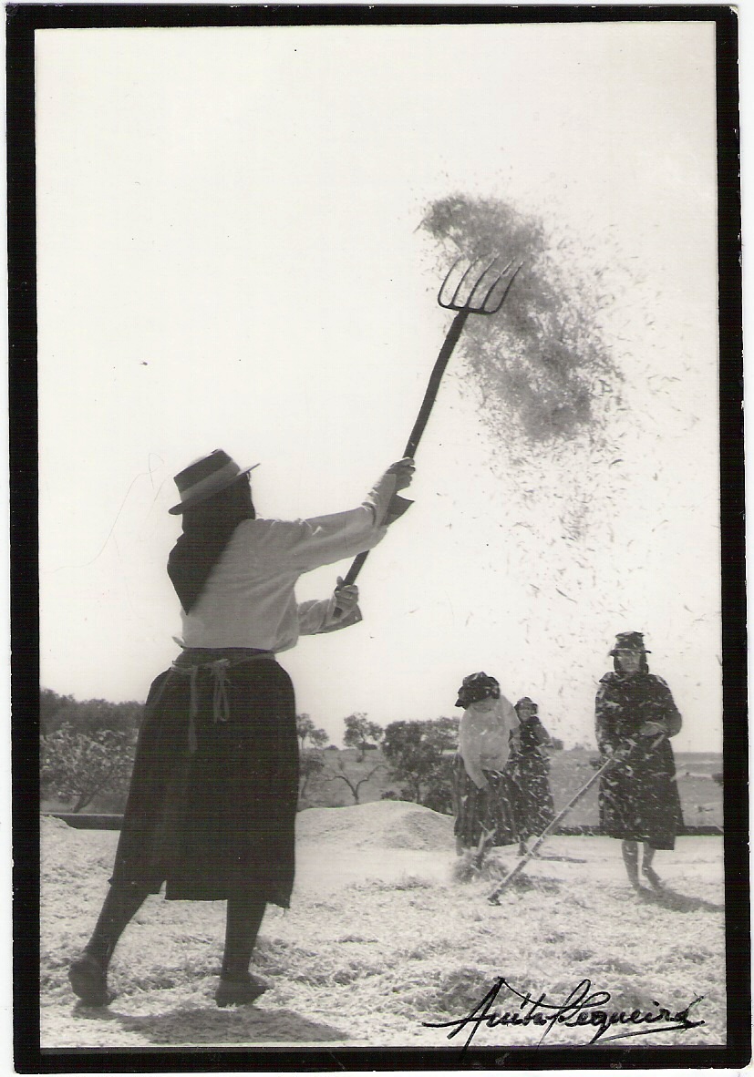 [Sementes+ao+Vento.jpg]