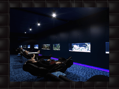 Google visual data 5