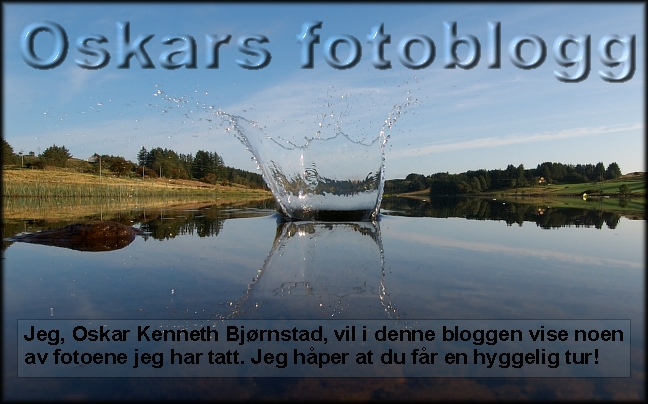 Oskars fotoblogg