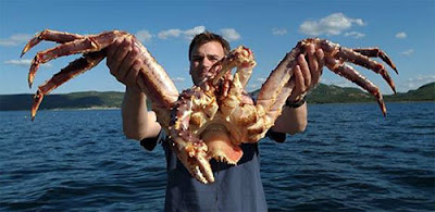 10 Cast Net: Alaskan King Crab Fishing Season