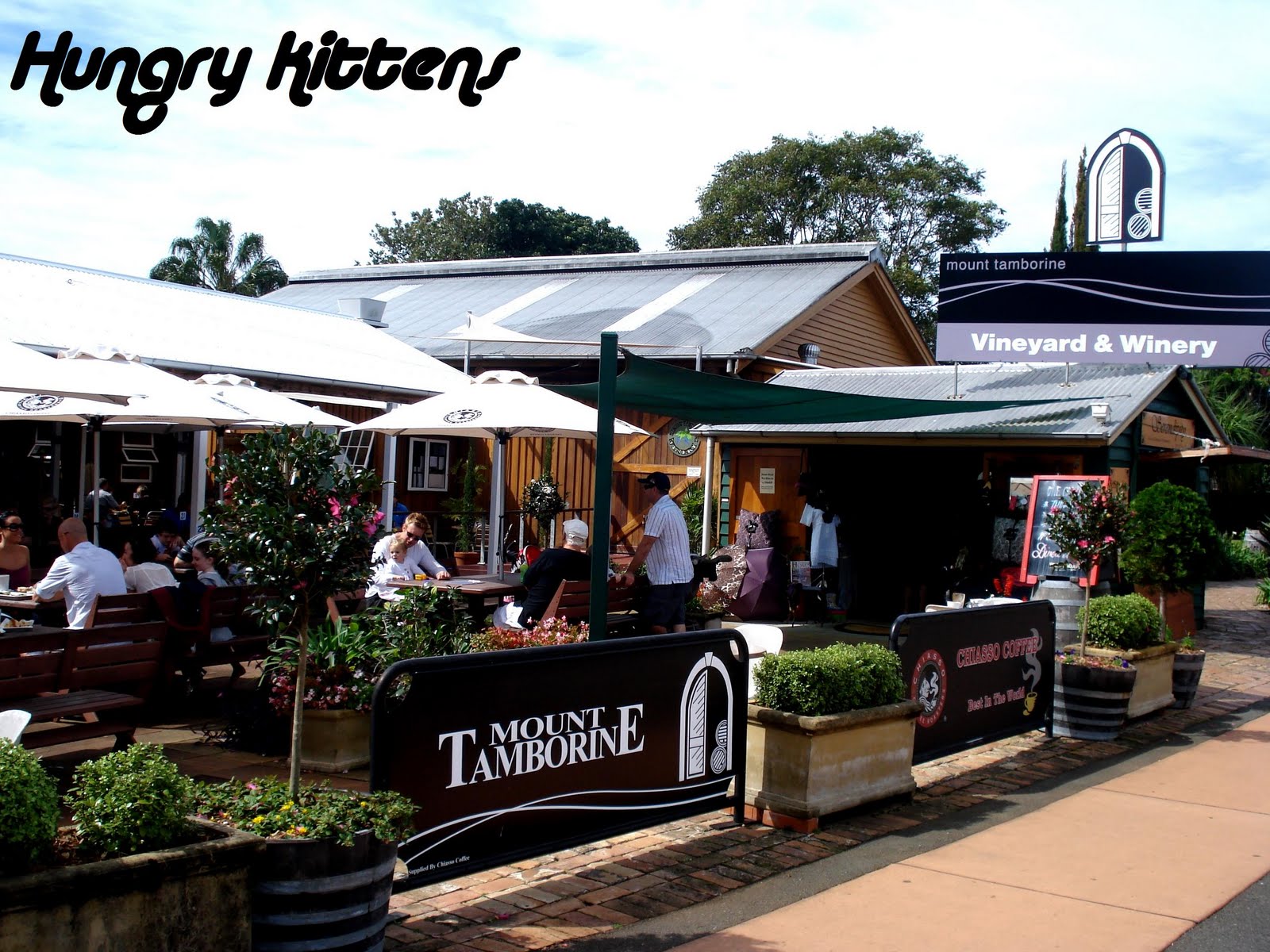 Hungry Kittens Mount Tamborine mosquitos, leaches and muddy river crossings (oh, good food too)