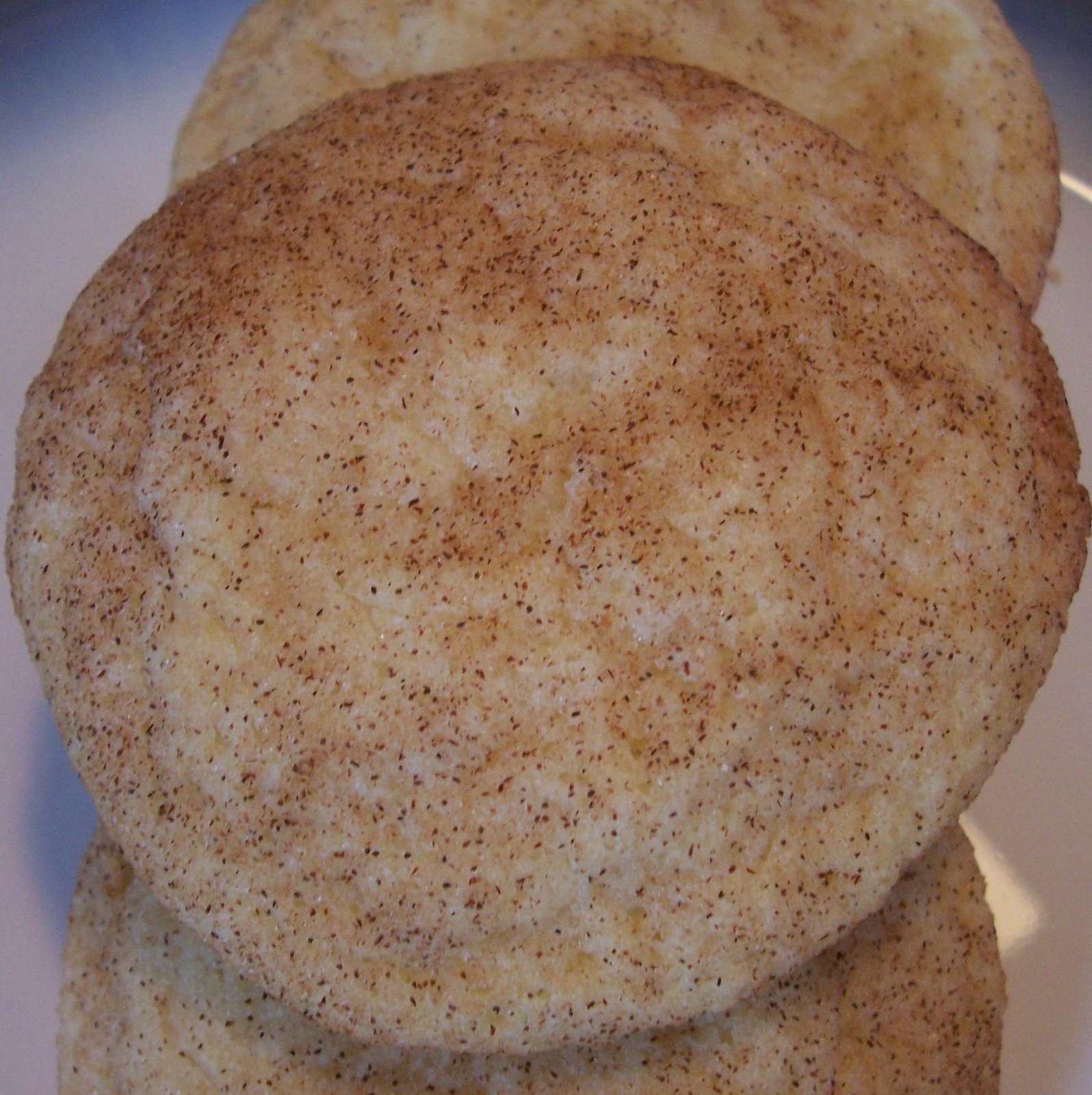 [snickerdoodling+015.JPG]