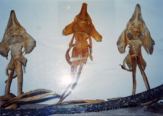 Οι Τελχίνες  