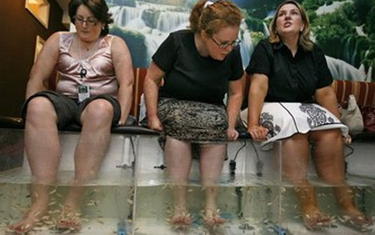 [salao_peixe_pedicure.jpg]