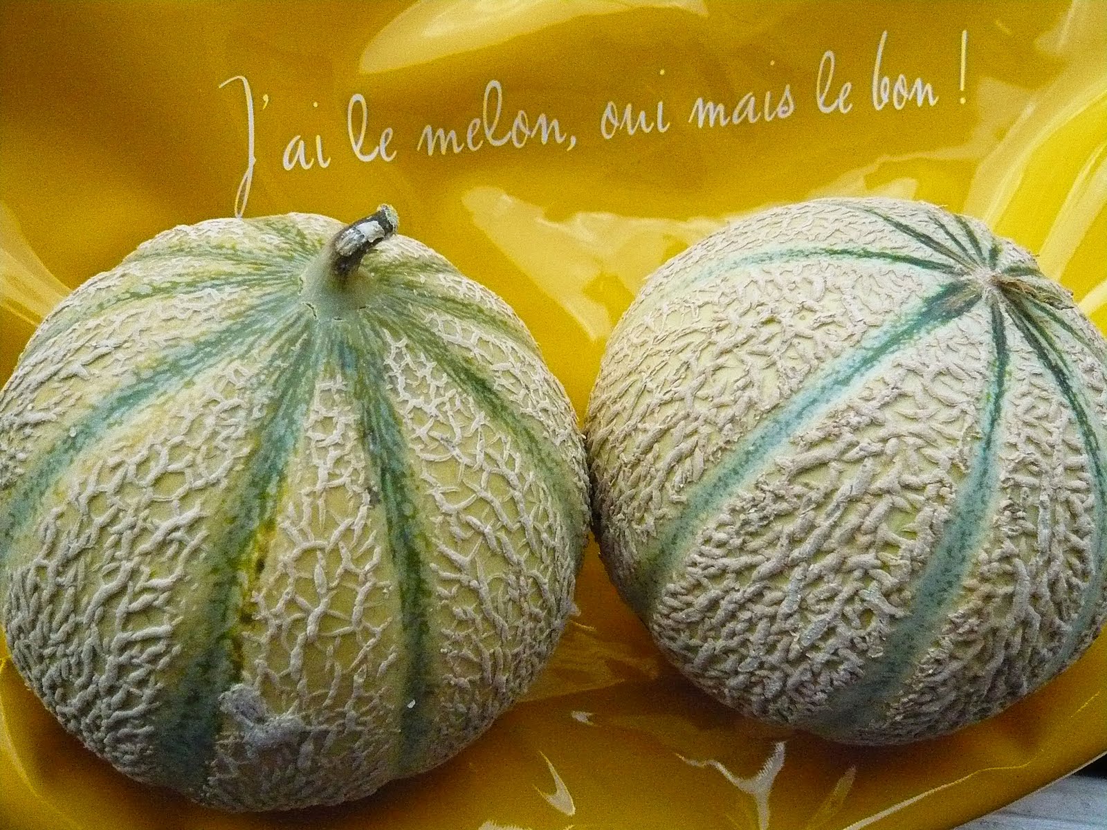 FOOD INTELLIGENCE Connaissezvous le melon charentais jaune