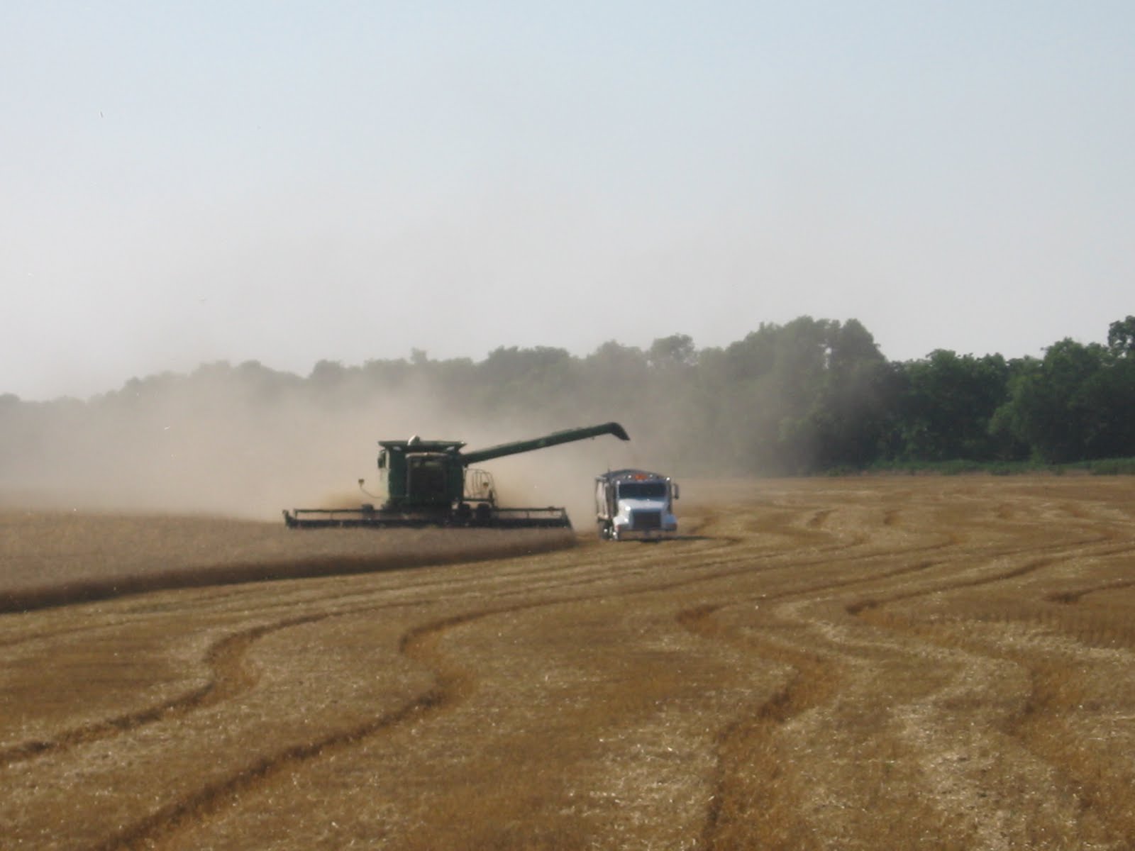 On the Road with Melchert Harvesting Pictures
