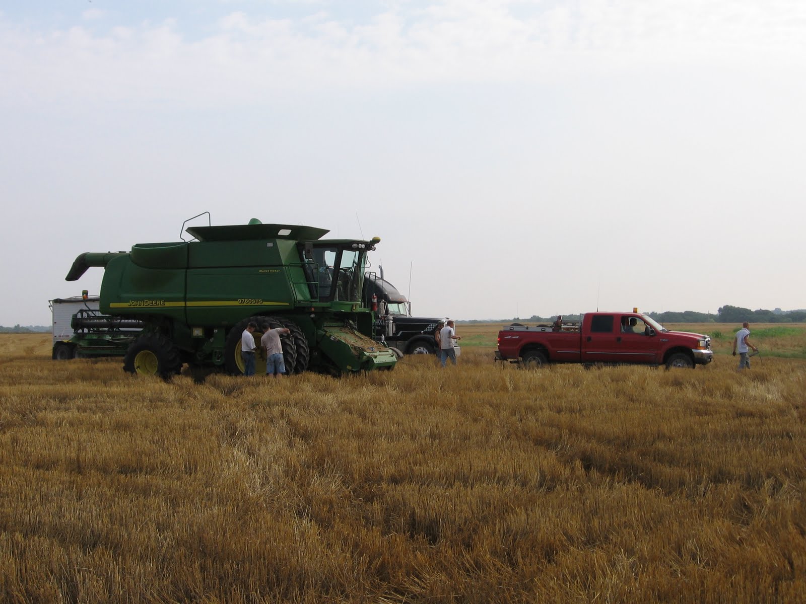 On the Road with Melchert Harvesting Combining Wheat