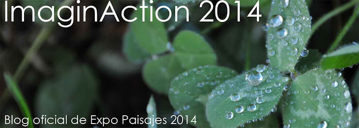 ImaginAction 2014