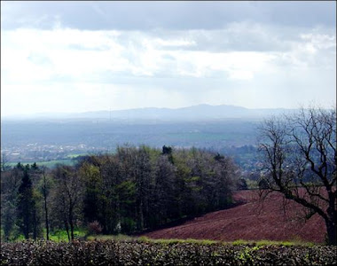 Brum From the Lickey Hills