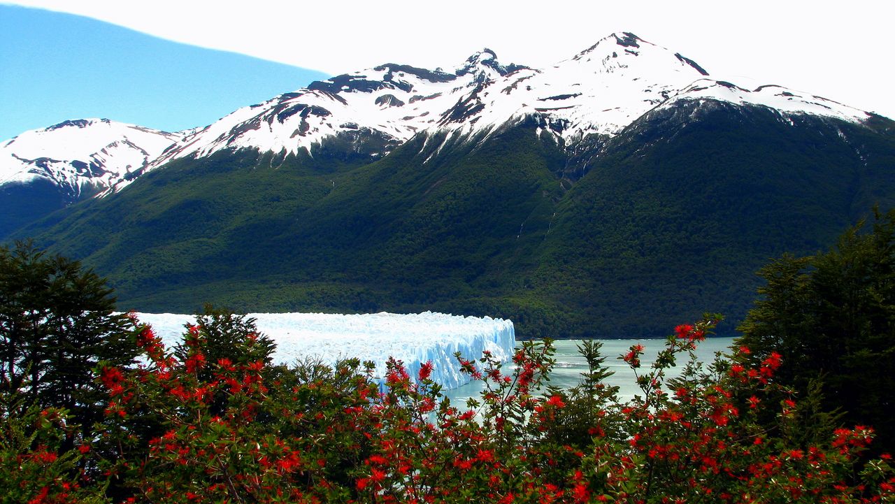 [30+Argentina+-+The+Perito+Moreno+Glacier.JPG]