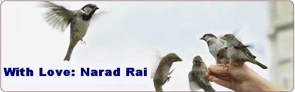 Narad Rai
