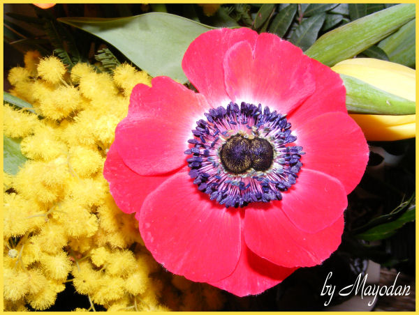 Stempelfenster Andrea Reichel Explosionsbox Zum Buro Geburtstag