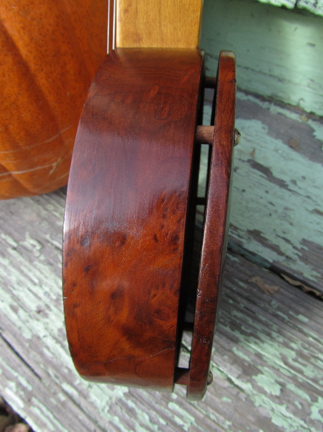 c.1920 Sandstrom Burled Redwood Banjo Ukulele