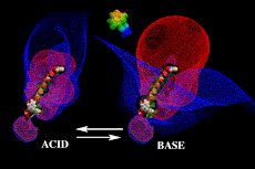 Two States of a Receptor