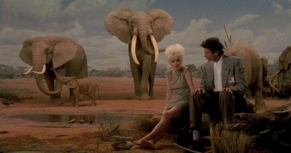 [Vibes-Cyndi-Lauper-Jeff-Goldblum-4.jpg]