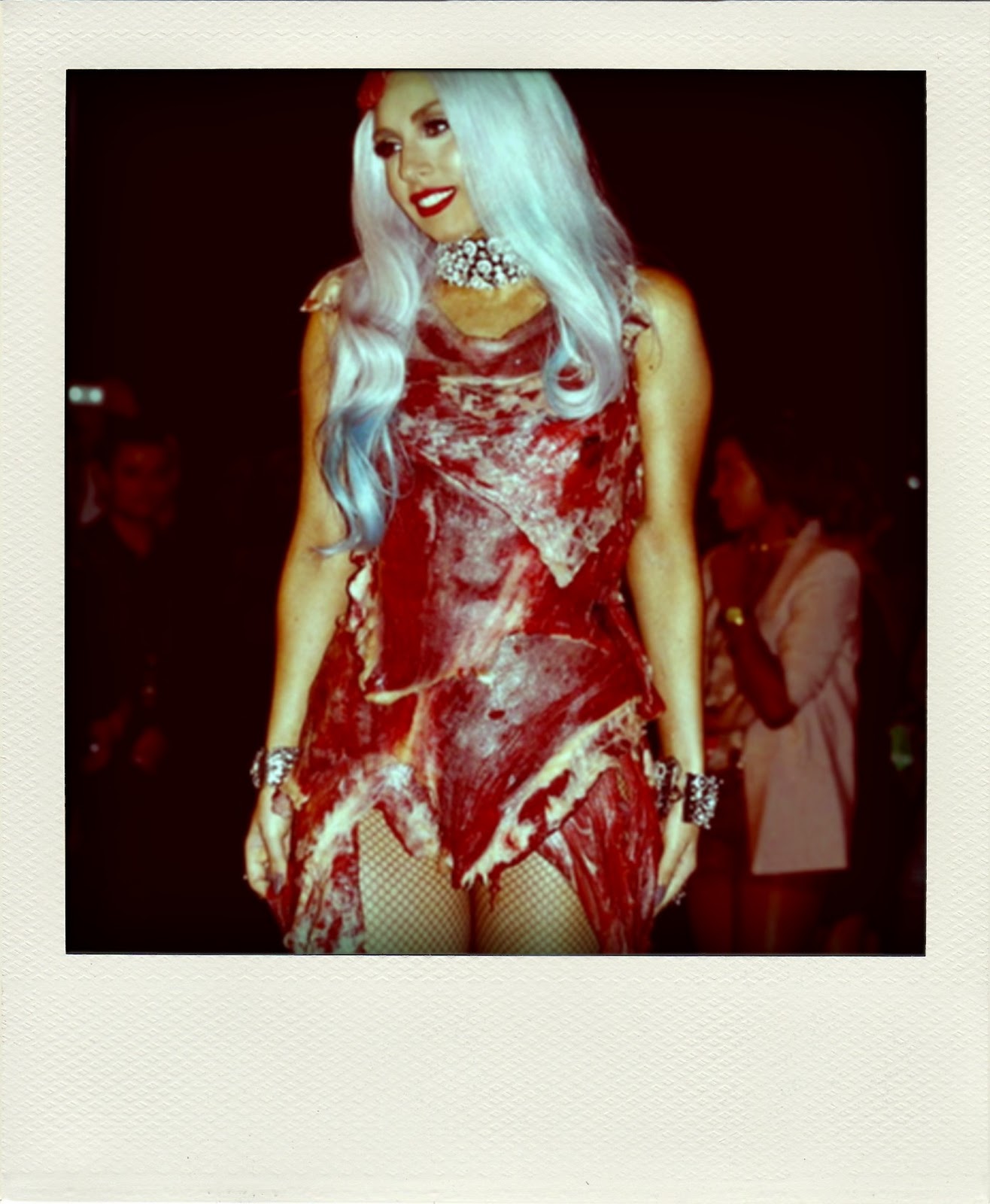 http://1.bp.blogspot.com/_0OABEPOmeKY/TQ6KXX-jXNI/AAAAAAAAA1c/aD32AcTGZaM/s1600/lady-gaga-meat-dress-pola.jpg