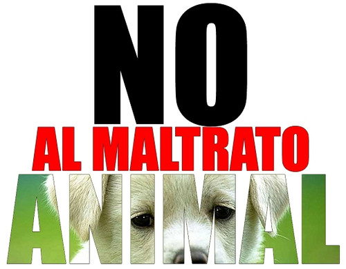 ayuda a los animales