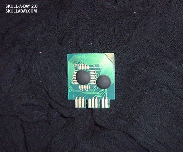 [submission278b.jpg]